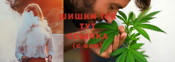 индика Абдулино