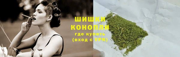 индика Абдулино