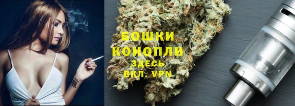 индика Абдулино