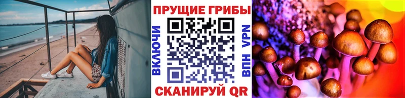 Псилоцибиновые грибы Psilocybe  где найти   Азнакаево 