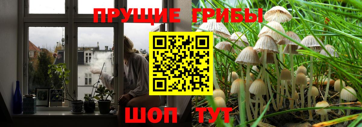 Галлюциногенные грибы Magic Shrooms Азнакаево